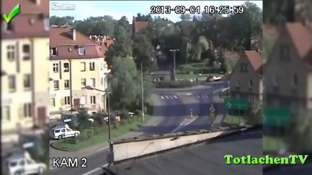 Смешные животные и абсурдные люди