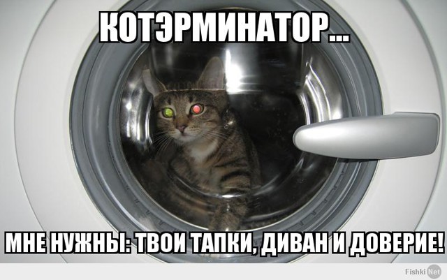 Фишкина солянка за 05.07.2014