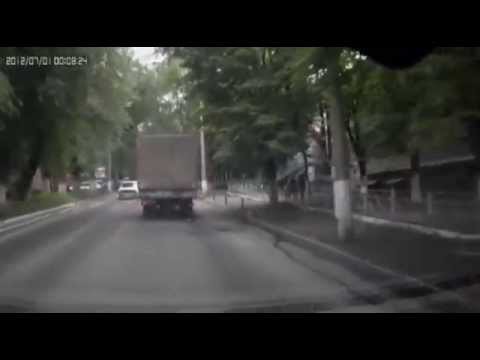  Сюрприз для водителя в виде Дерева