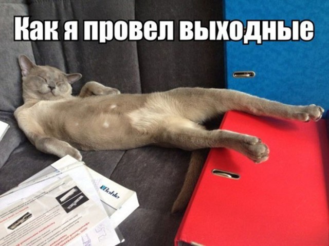 Всех с понедельником :)