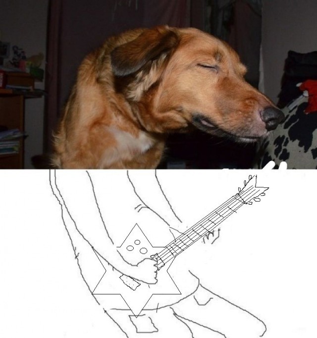 Бред собачий