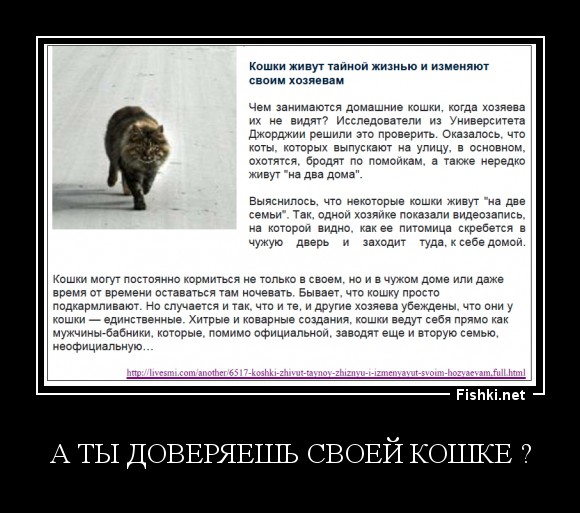 А ТЫ ДОВЕРЯЕШЬ СВОЕЙ КОШКЕ ?