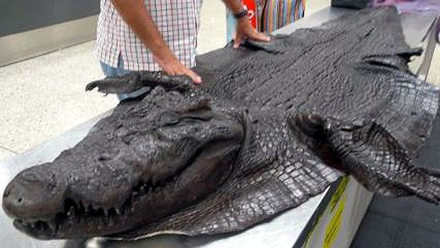 приколы от пилотов 2