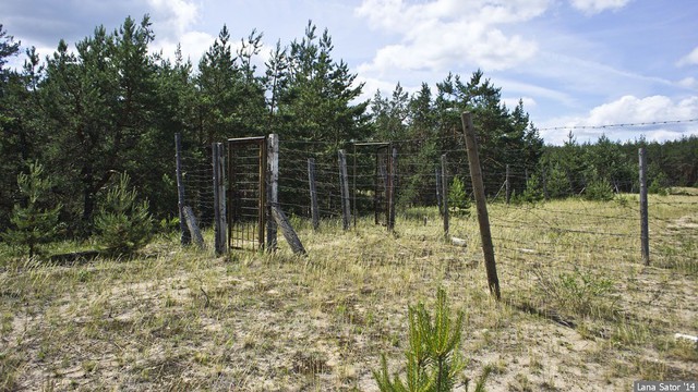 Пропавшие в песках