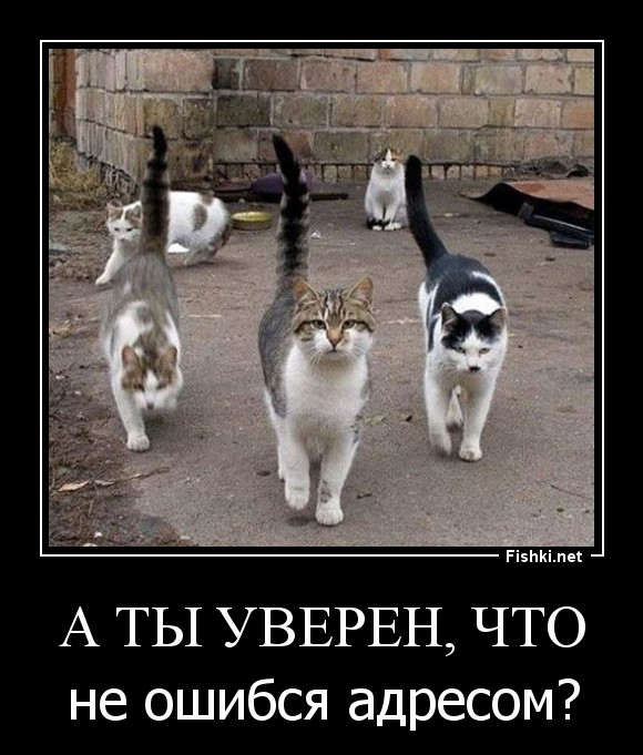 А ты уверен, что