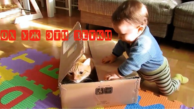 Дети и животные