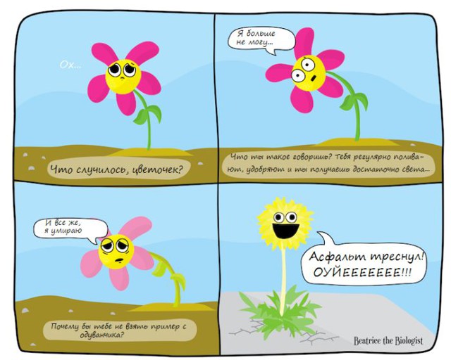 Смешные комиксы