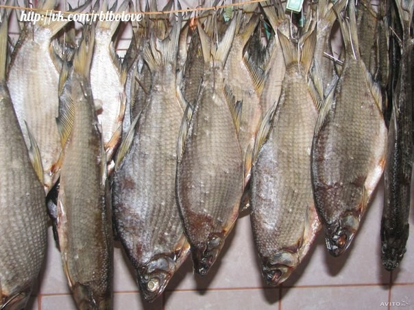 Для мужиков! Как солить рыбу!