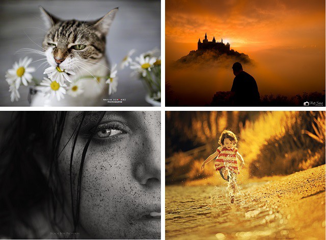 20 лучших фотографий недели 