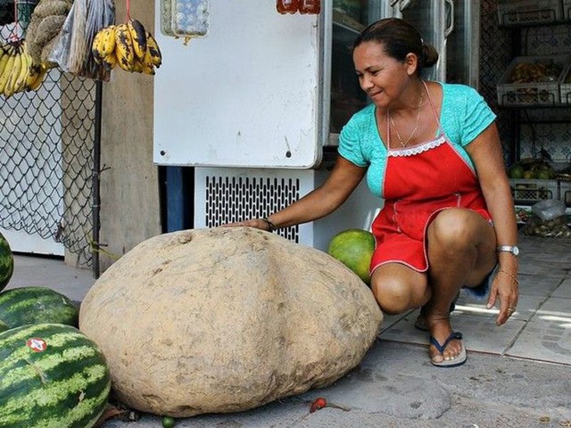  Картофелина 80 кг и ананас 15 кг
