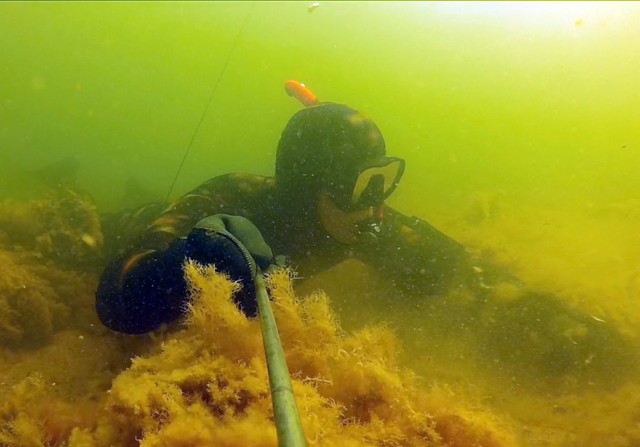 подводная охота №7 в поисках рыбы 