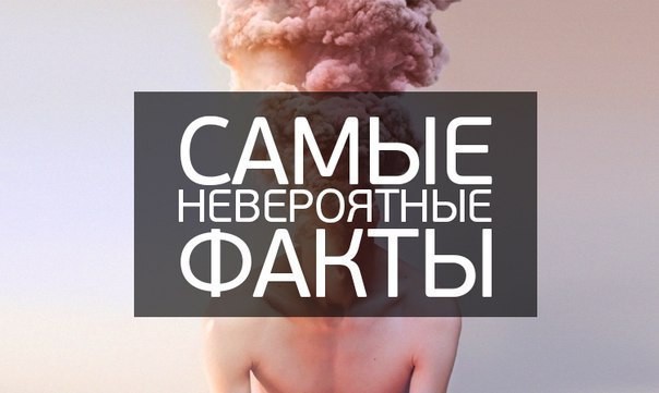 Самые невероятные факты со всего мира