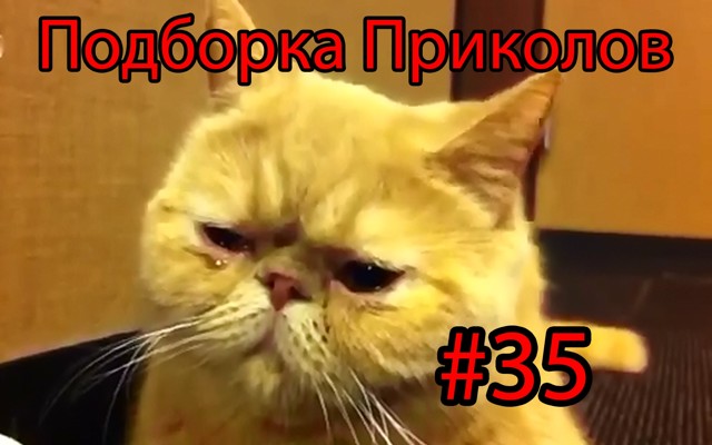 Подборка Лучших Приколов №35 - строго не судить