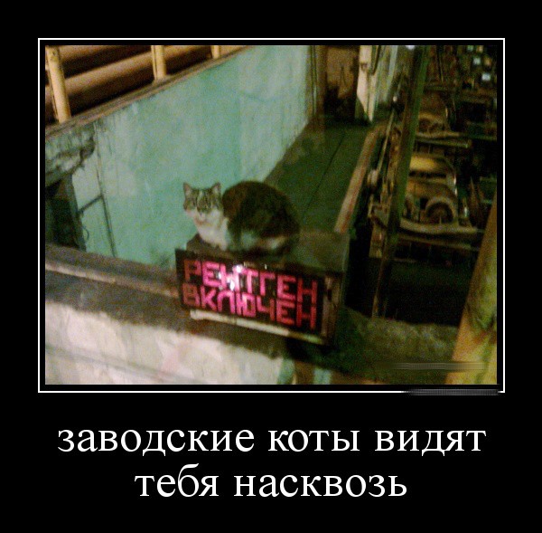 Демотиваторы