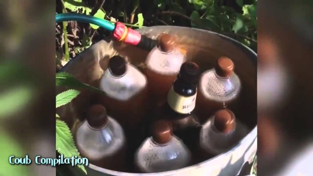 Забавные и смешные видео 