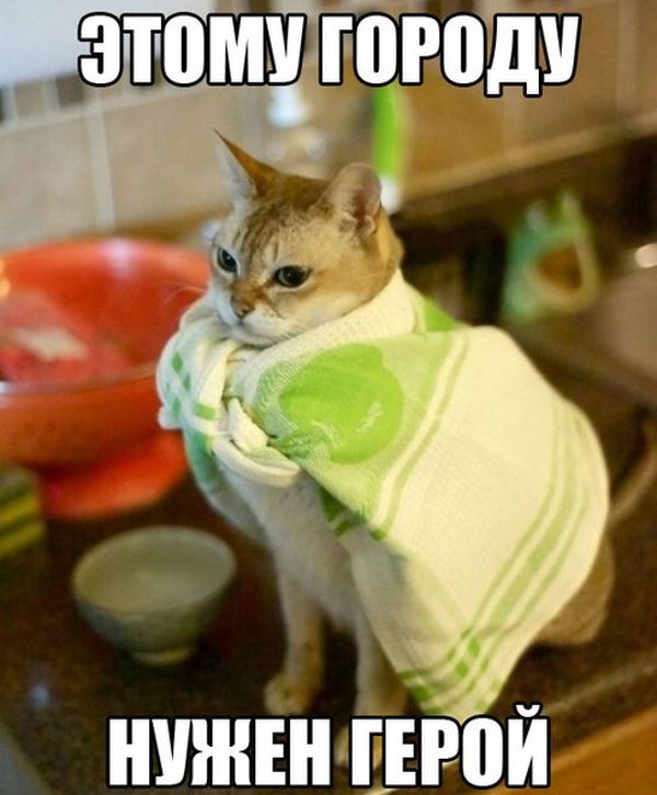  Картинки со смешными подписями