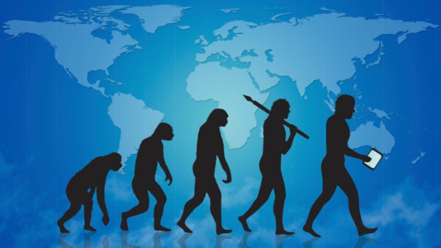 Любопытные факты о странностях эволюции человечества
