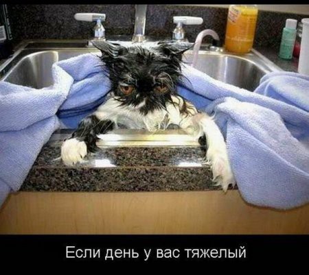 Дождались!!! Пятница!!!