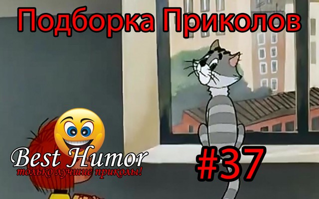 Подборка Приколов