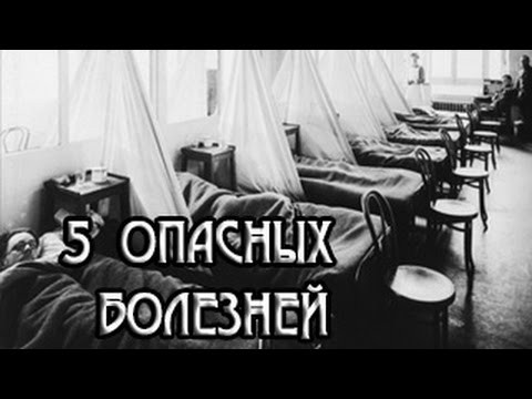 5 Опасных болезней человечества