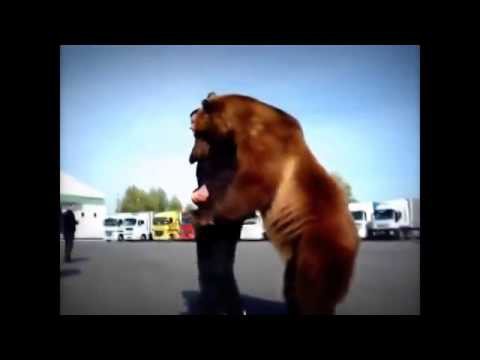 Медведь Тима.Концовка просто умора 