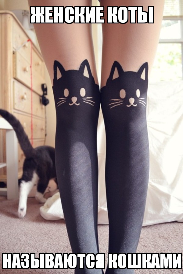 Милые и забавные животные 