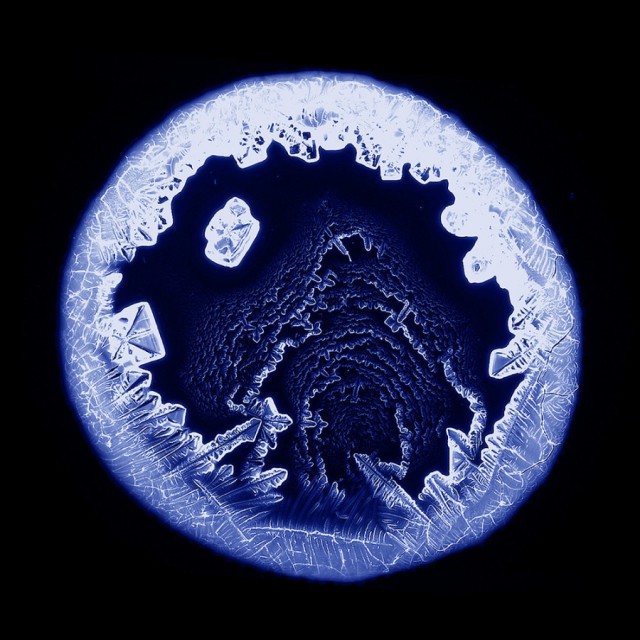 Красота микромира, скрытая от наших глаз