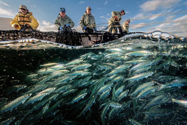 20 самых удачных кадров августа