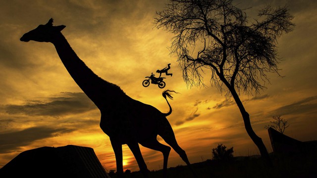 Фотоподборка за 25.08.2014