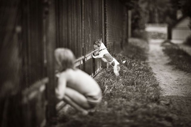 Фотографии о настоящем лете