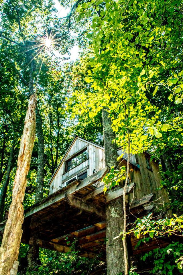 Хороший домик в лесу