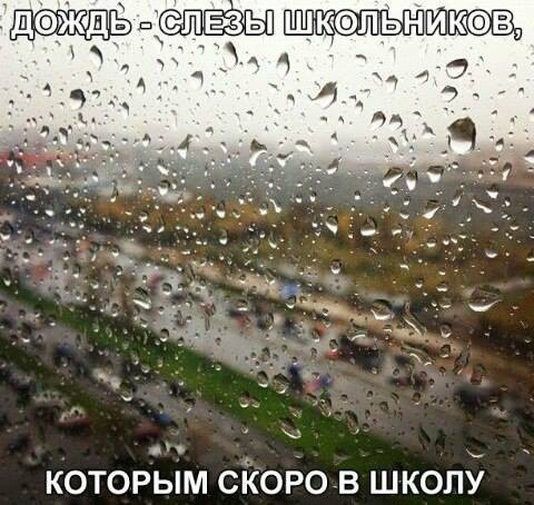  Картинки со смешными подписями