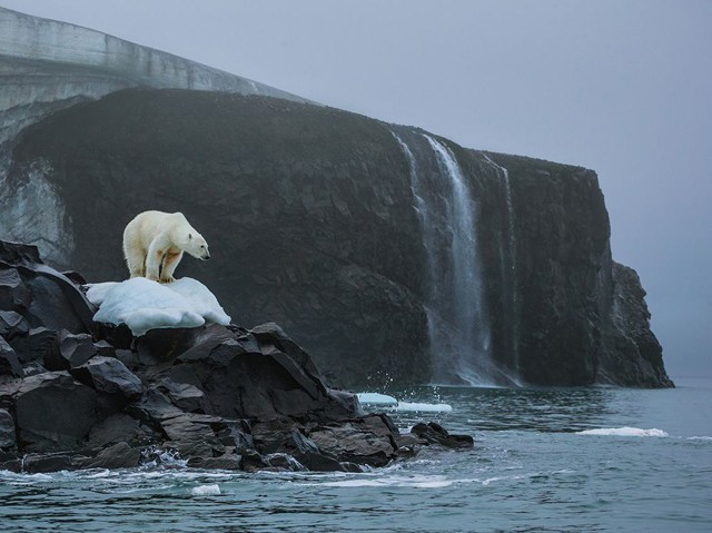 Лучшие фотографии National Geographic: август 2014 года