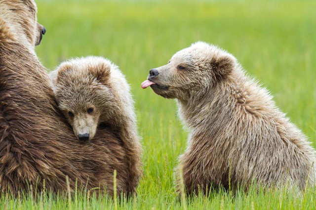 Фотоподборка за 04.09.2014