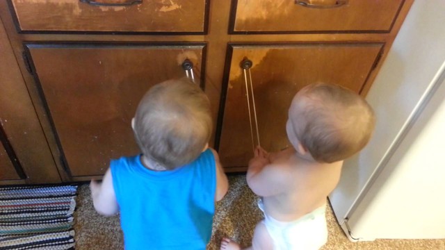 Малыши нашли себе очень увлекательное занятие 