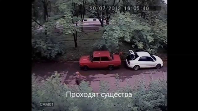 Парень красава, наказал крыс при попытке слива бенза 