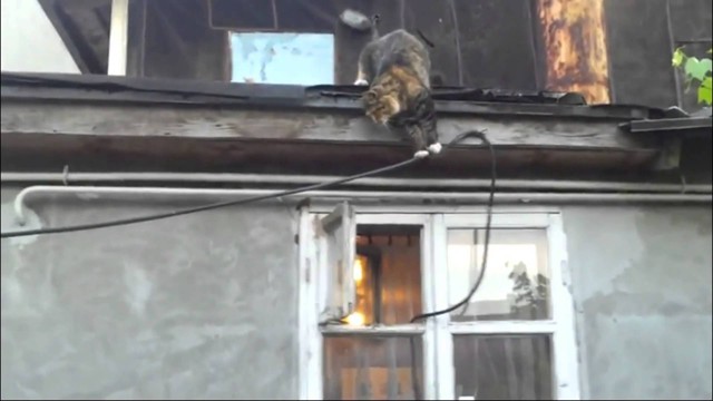 Трудный путь домой 