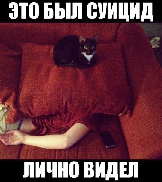 Картинки со смешными подписями