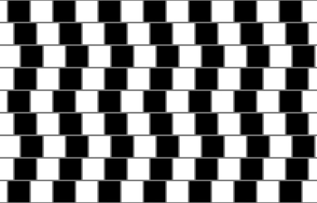 Случайная иллюзия стены кафе в ванной после кладки плитки