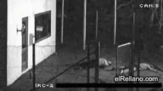 Ограбление века