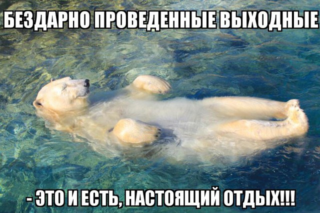 Фишкина солянка за 15.09.2014 