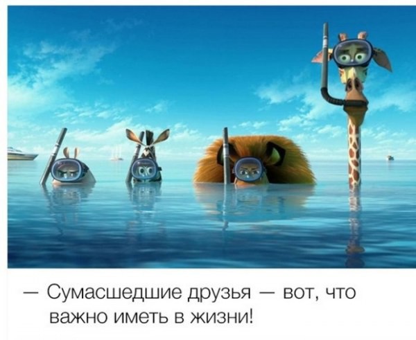 Уморительные цитаты из знаменитых мультфильмов 