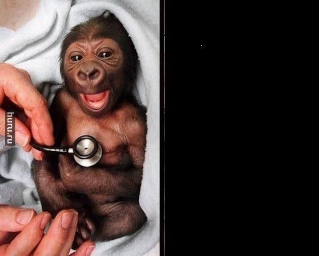 Реакция на прикосновение холодного фонендоскопа