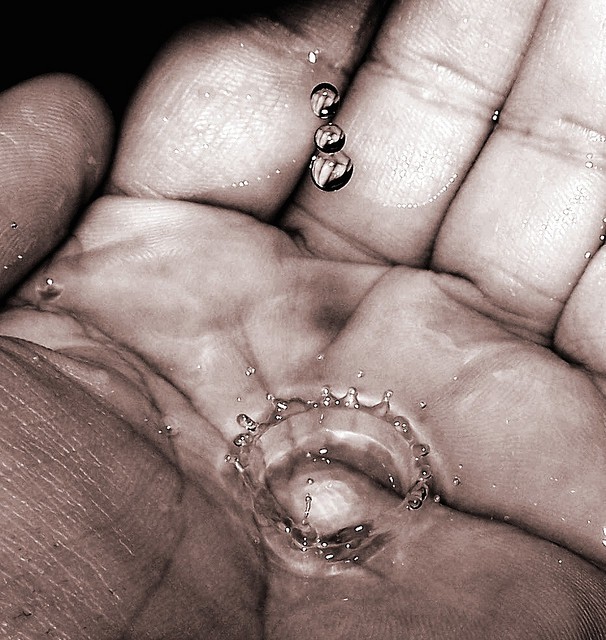 Фотографии, в которых автору удалось остановить незабываемое мгновение