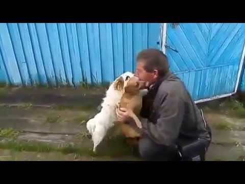 Хозяин вернулся