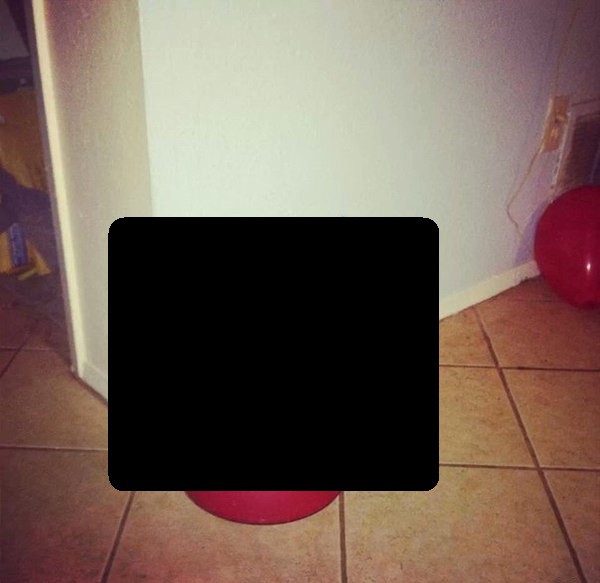 Купил коту новый корм