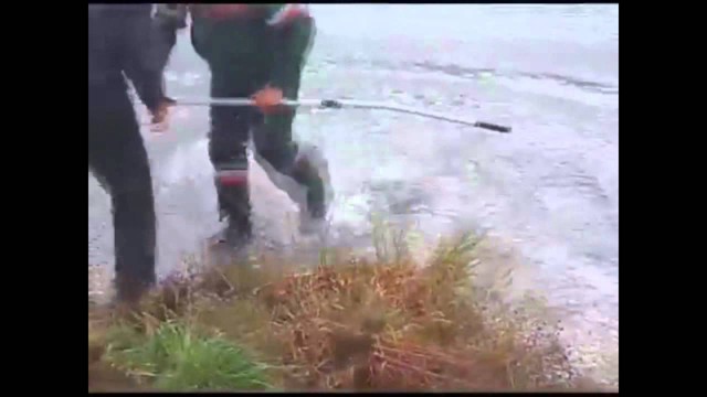  Хоть в руках подержали