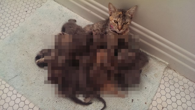 Я думаю, что мама нуждается в перерыве)