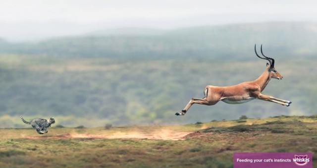 Креативные рекламные принты со всего света