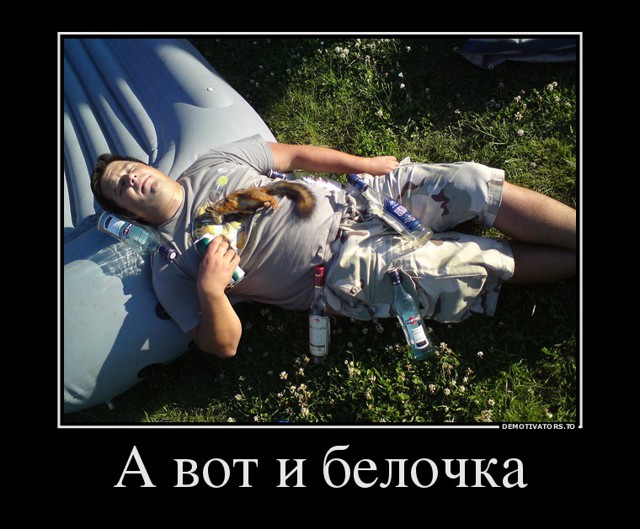 НЕСКОЛЬКО ДЕМОТИВАТОРОВ)))